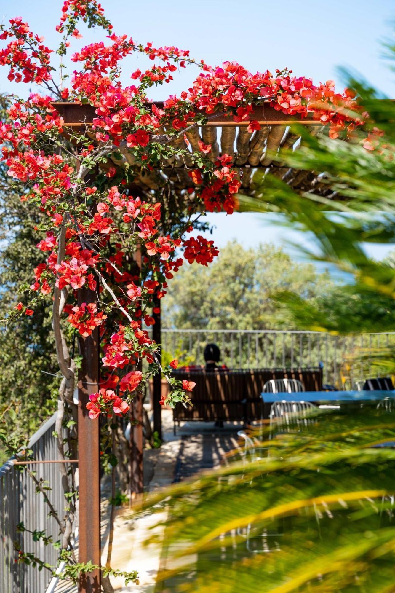 أغروبولي B&B Baia Di Trentova المظهر الخارجي الصورة